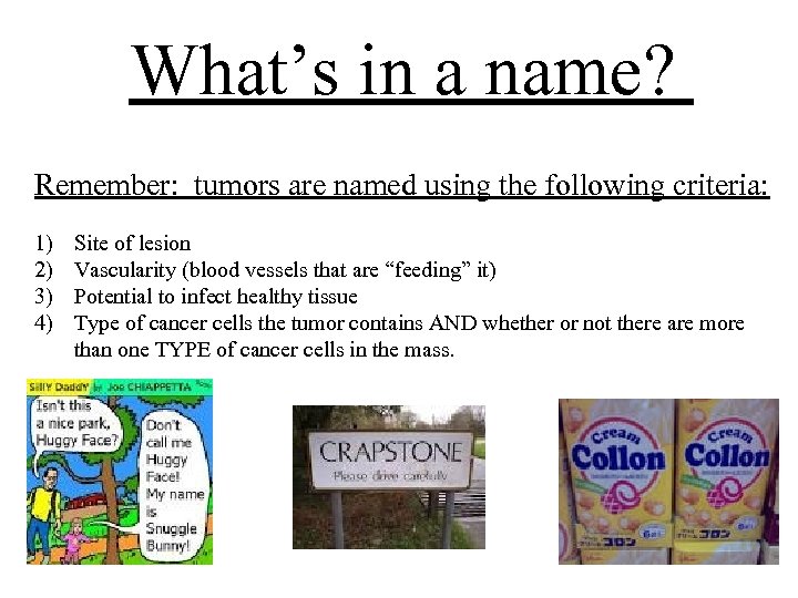What’s in a name? Remember: tumors are named using the following criteria: 1) 2)