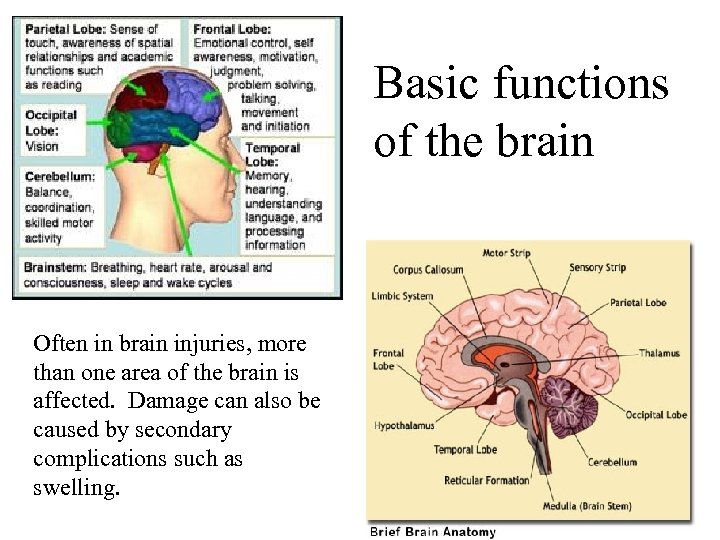 Basic functions of the brain Often in brain injuries, more than one area of