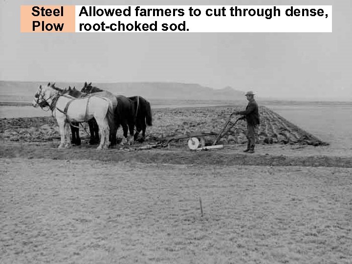 Steel Plow Allowed farmers to cut through dense, root-choked sod. 