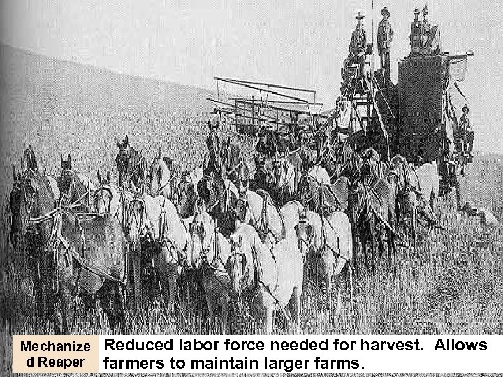 Mechanize d Reaper Reduced labor force needed for harvest. Allows farmers to maintain larger