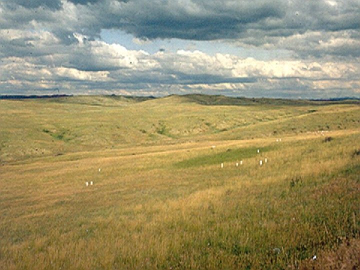 Little Bighorn 