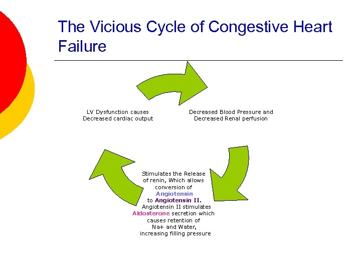 The Vicious Cycle of Congestive Heart Failure LV Dysfunction causes Decreased cardiac output Decreased