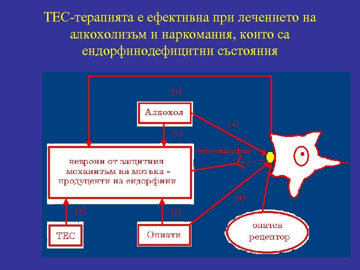 ТЕС-терапията е ефективна при лечението на алкохолизъм и наркомания, които са ендорфинодефицитни състояния 