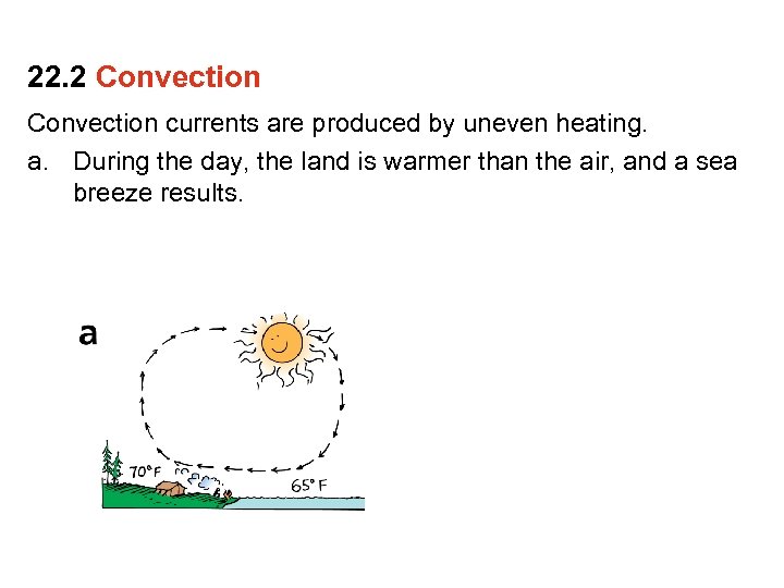 22. 2 Convection currents are produced by uneven heating. a. During the day, the