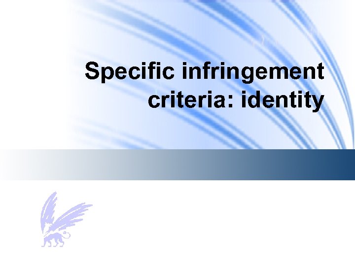 Specific infringement criteria: identity 