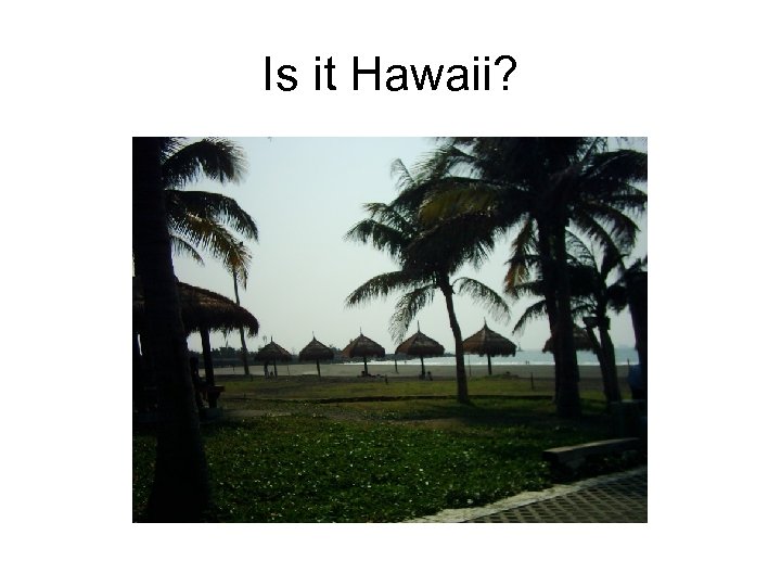 Is it Hawaii? 