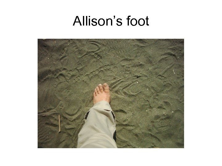 Allison’s foot 