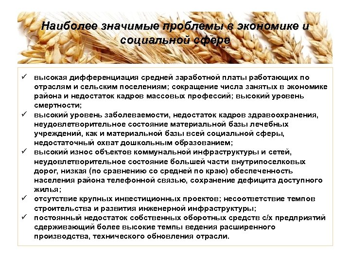 Наиболее значимые проблемы в экономике и социальной сфере ü высокая дифференциация средней заработной платы