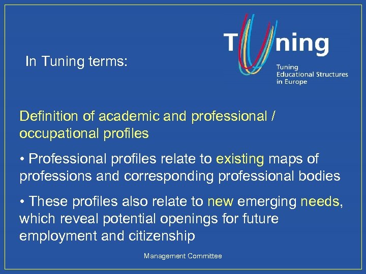 In Tuning terms: Definition of academic and professional / occupational profiles • Professional profiles