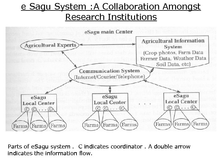 e Sagu System : A Collaboration Amongst Research Institutions Parts of e. Sagu system.