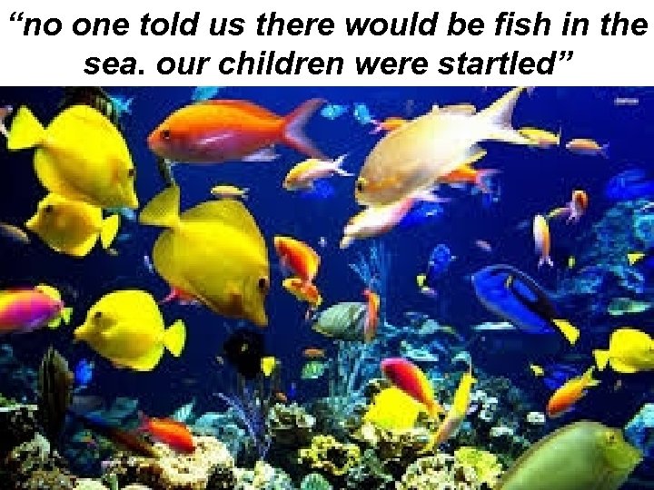 “no one told us there would be fish in the sea. our children were