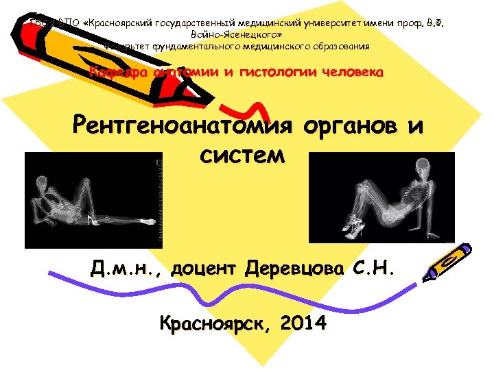 ГБОУ ВПО «Красноярский государственный медицинский университет имени проф. В. Ф. Войно-Ясенецкого» Факультет фундаментального медицинского