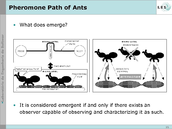 Pheromone Path of Ants • What does emerge? • It is considered emergent if