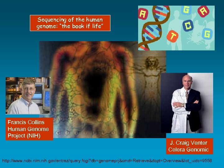 Sequencing of the human genome: “the book if life” <> Francis Collins Human Genome