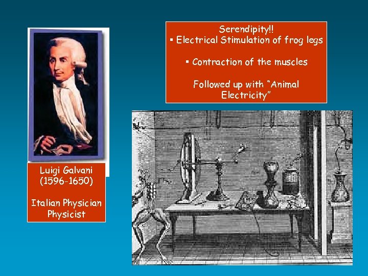 Serendipity!! § Electrical Stimulation of frog legs § Contraction of the muscles Followed up