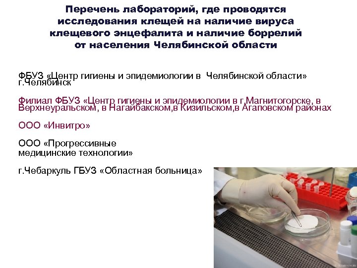Перечень лабораторий, где проводятся исследования клещей на наличие вируса клещевого энцефалита и наличие боррелий