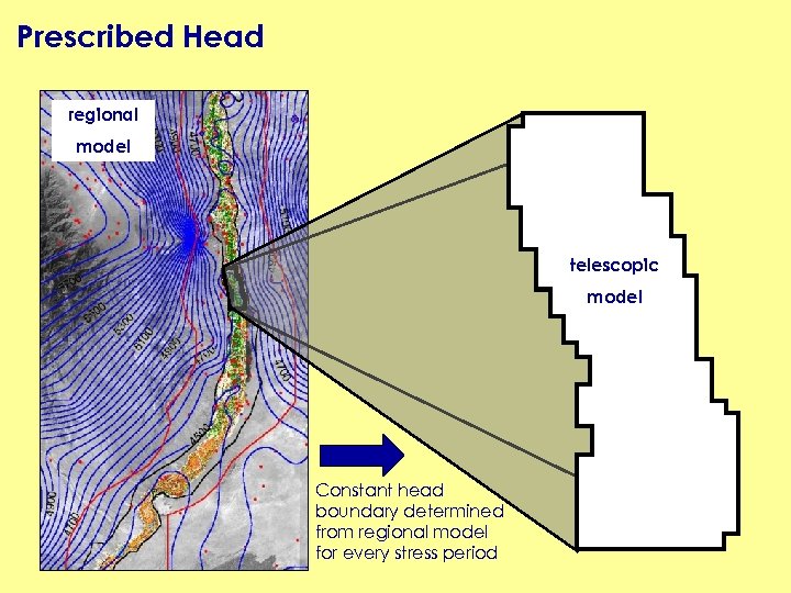 Prescribed Head regional model telescopic model Constant head boundary determined from regional model for