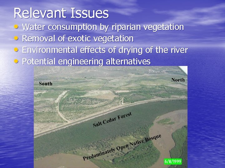 Relevant Issues • Water consumption by riparian vegetation • Removal of exotic vegetation •