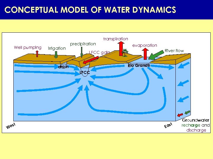 CONCEPTUAL MODEL OF WATER DYNAMICS transpiration Well pumping irrigation precipitation evaporation River flow LFCC