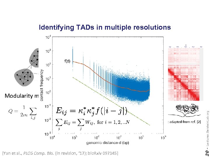 [Yan et al. , PLOS Comp. Bio. (in revision, ‘ 17); bio. Rxiv 097345]