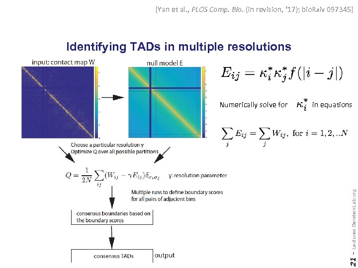 [Yan et al. , PLOS Comp. Bio. (in revision, ‘ 17); bio. Rxiv 097345]