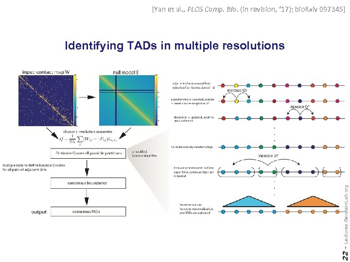 [Yan et al. , PLOS Comp. Bio. (in revision, ‘ 17); bio. Rxiv 097345]