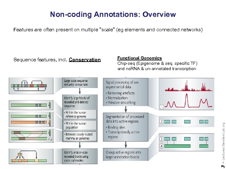 Non-coding Annotations: Overview Features are often present on multiple ”scale” (eg elements and connected