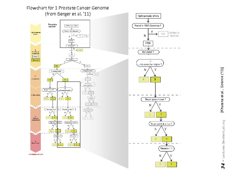 34 - Lectures. Gerstein. Lab. org [Khurana et al. , Science (‘ 13)] Flowchart