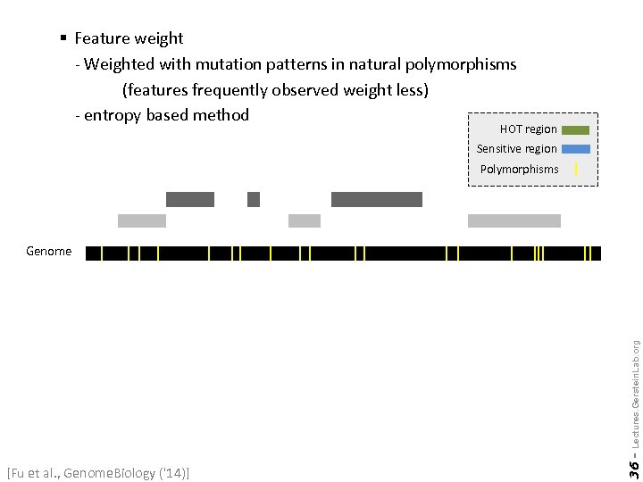 § Feature weight - Weighted with mutation patterns in natural polymorphisms (features frequently observed