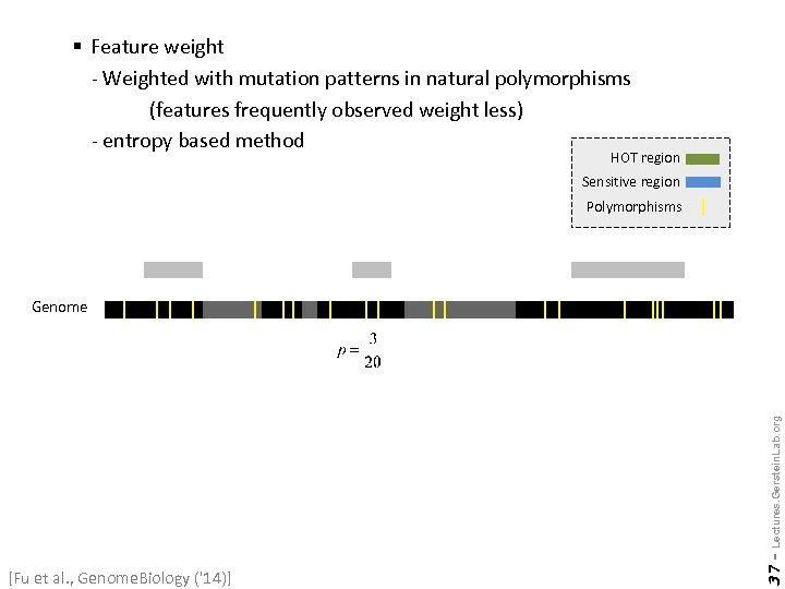 § Feature weight - Weighted with mutation patterns in natural polymorphisms (features frequently observed