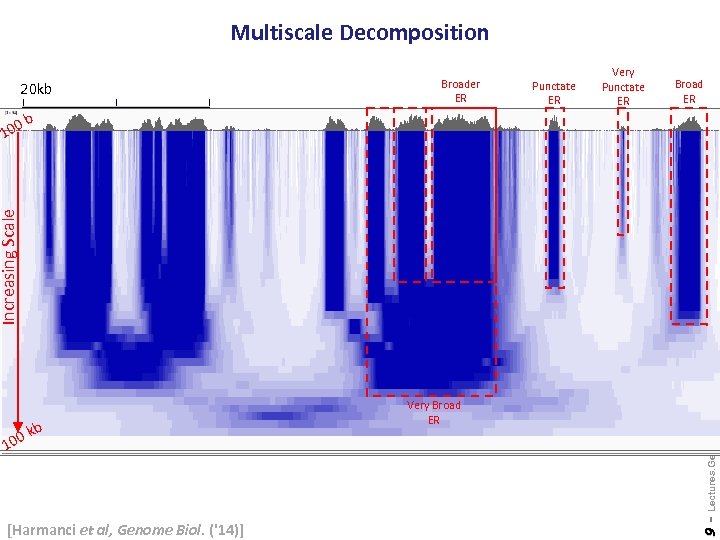 Multiscale Decomposition 20 kb Punctate ER Very Punctate ER Broad ER 0 b kb