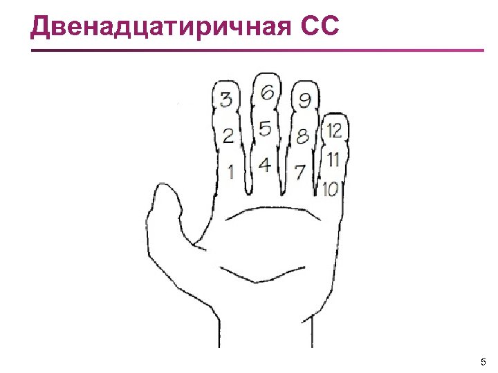 Двенадцатиричная СС 5 