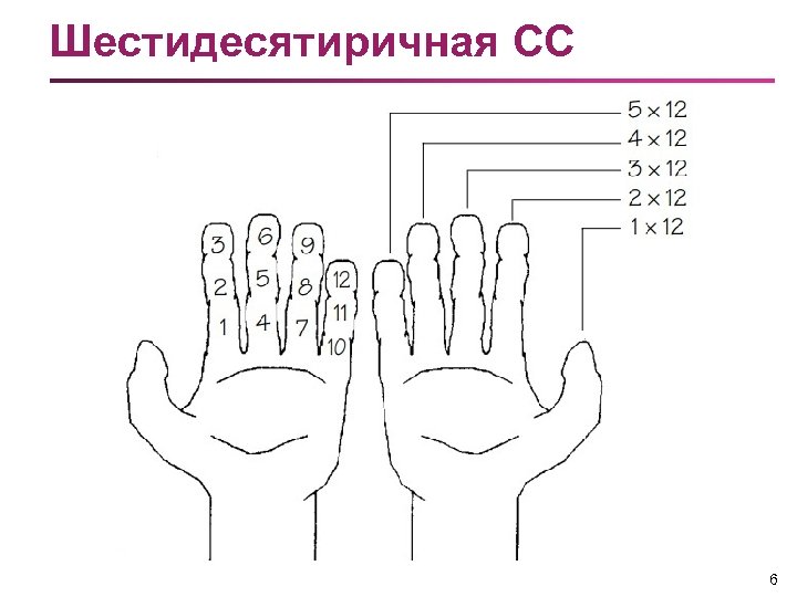 Шестидесятиричная СС 6 