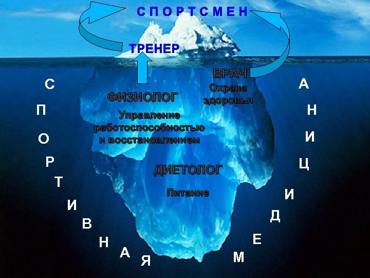 СПОРТСМЕН ТРЕНЕР ВРАЧ С ФИЗИОЛОГ П А Охрана здоровья Н Управление работоспособностью и восстановлением