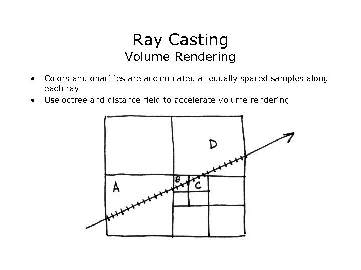 Ray Casting Volume Rendering • • Colors and opacities are accumulated at equally spaced