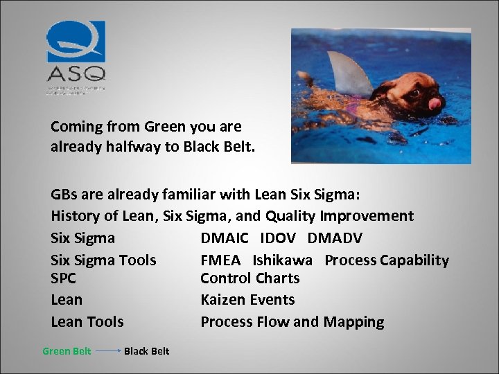 Coming from Green you are already halfway to Black Belt. GBs are already familiar