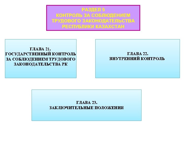 Государственный контроль за соблюдением трудового законодательства. Внутренний контроль за соблюдением трудового законодательства.