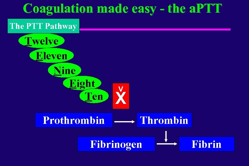 Coagulation made easy - the a. PTT The PTT Pathway Twelve Eleven Nine Eight