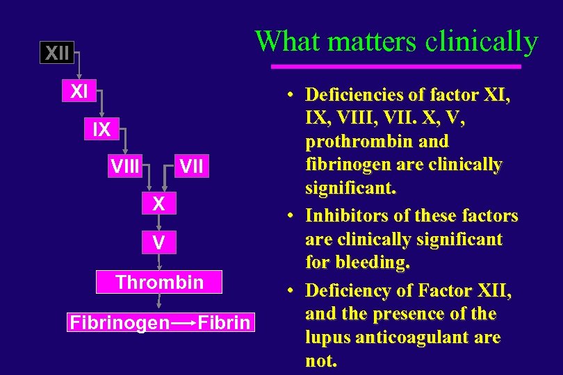 What matters clinically XII XI IX VIII VII X V Thrombin Fibrinogen Fibrin •