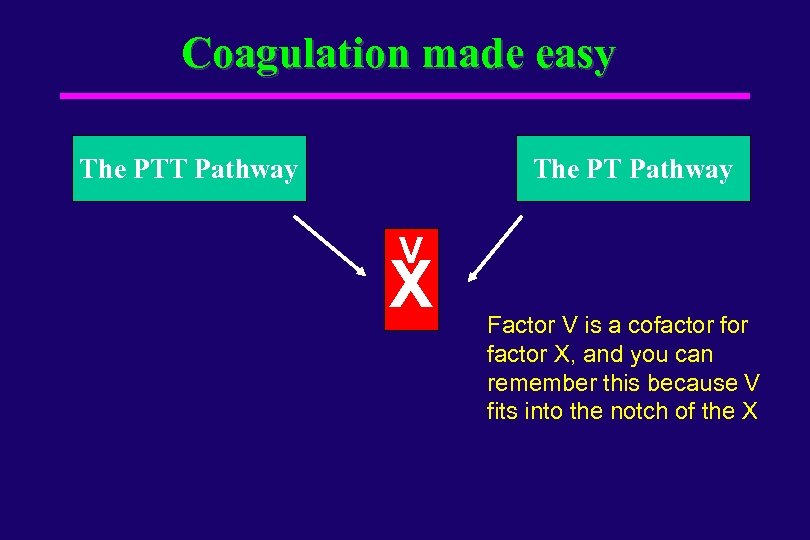 Coagulation made easy The PTT Pathway The PT Pathway V X Factor V is