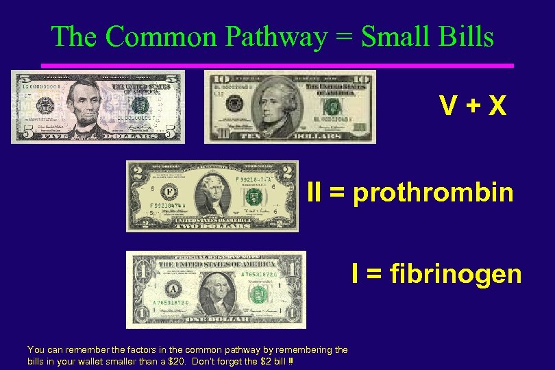 The Common Pathway = Small Bills V+X II = prothrombin I = fibrinogen You