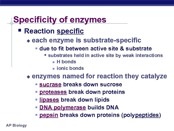 Specificity of enzymes § Reaction specific u each enzyme is substrate-specific § due to