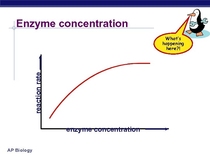 Enzyme concentration reaction rate What’s happening here? ! enzyme concentration AP Biology 