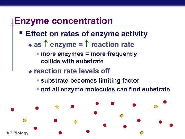 Enzyme concentration § Effect on rates of enzyme activity u as enzyme = reaction