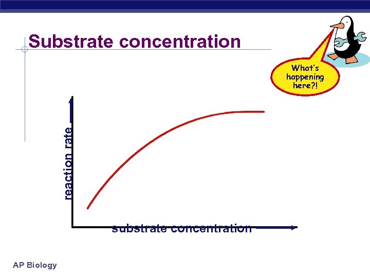 Substrate concentration reaction rate What’s happening here? ! substrate concentration AP Biology 
