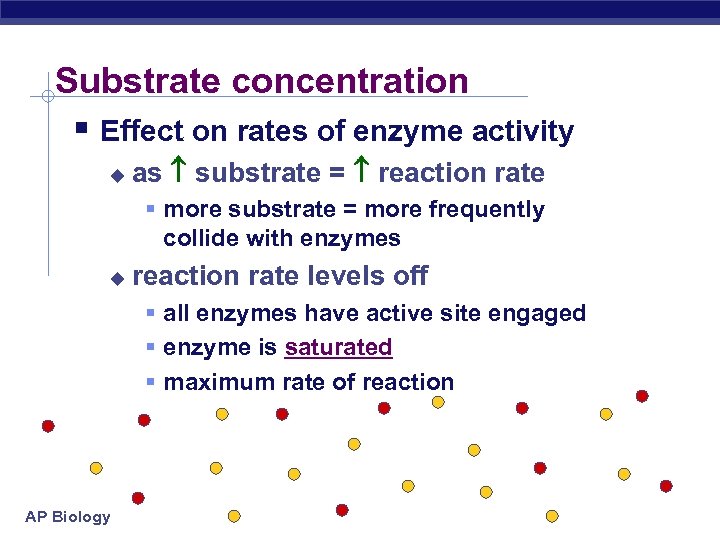 Substrate concentration § Effect on rates of enzyme activity u as substrate = reaction