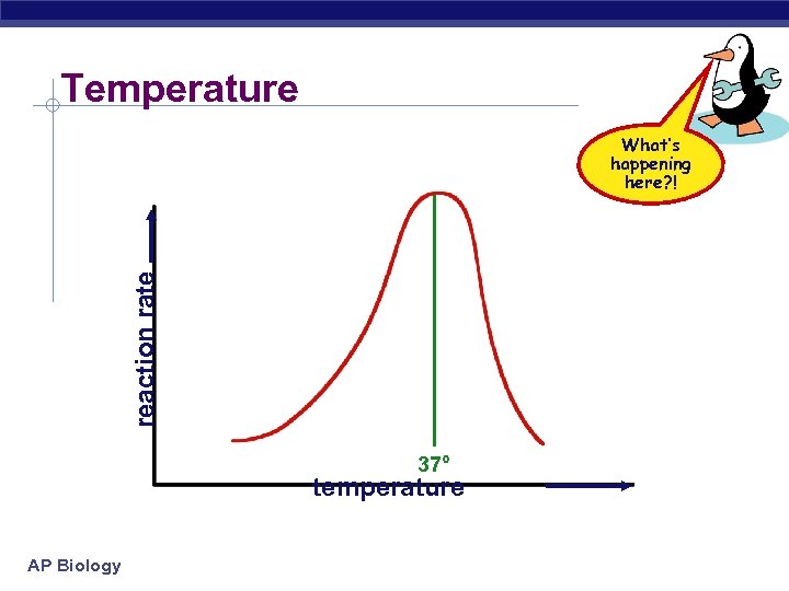 Temperature reaction rate What’s happening here? ! 37° temperature AP Biology 