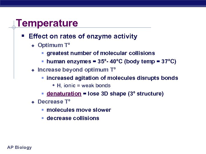 Temperature § Effect on rates of enzyme activity u u u AP Biology Optimum