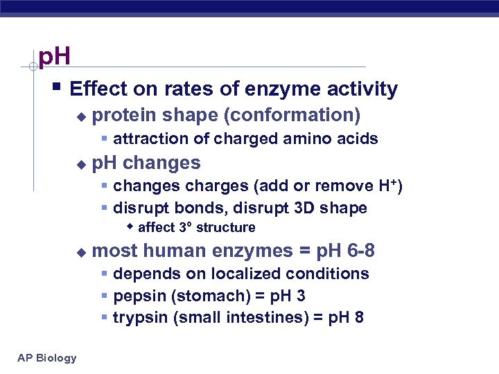 p. H § Effect on rates of enzyme activity u protein shape (conformation) §