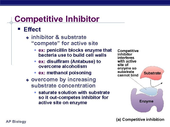 Competitive Inhibitor § Effect u inhibitor & substrate “compete” for active site § ex: